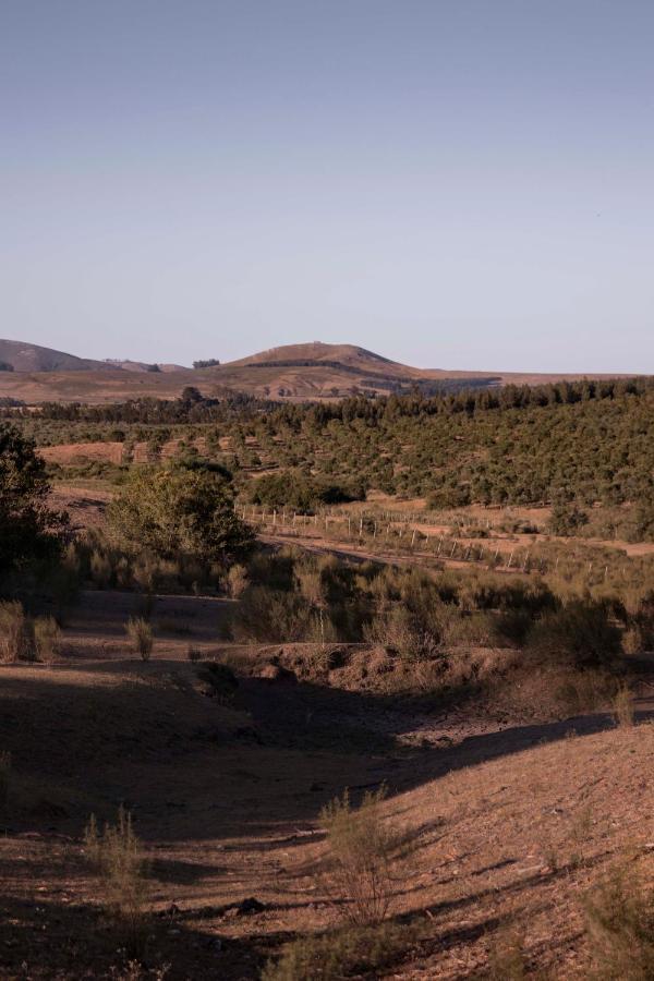 מינאס Posada La Serena מראה חיצוני תמונה